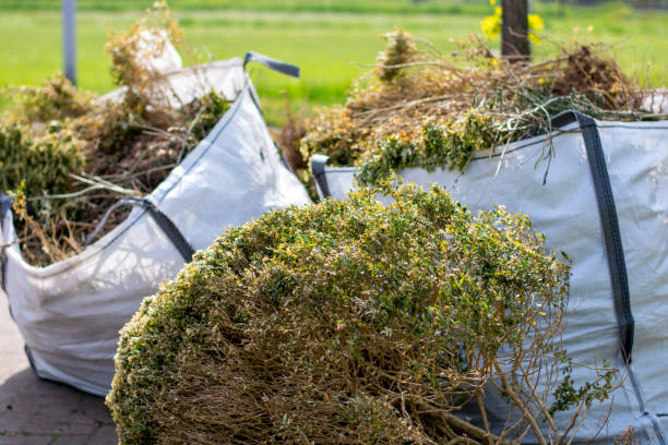 Best Carpet Removal and Disposal  in Lake Park, FL